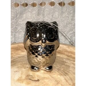 Shiny Silver Ceramic Owl decor‎